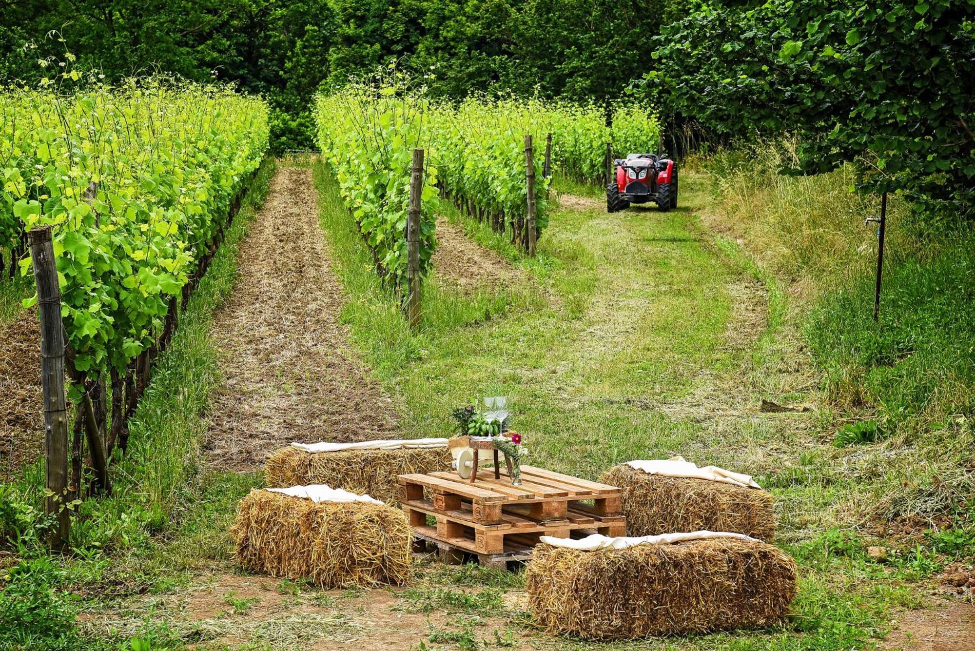 Agriturismo Guerritore Baronissi Buitenkant foto